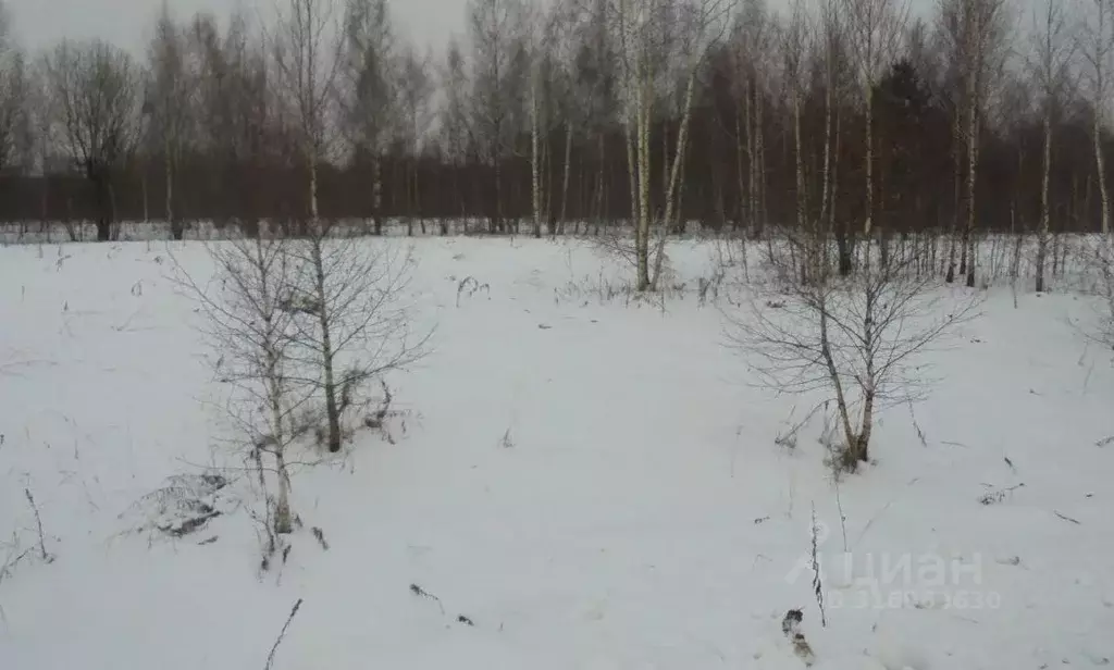 Участок в Московская область, Дмитровский муниципальный округ, д. ... - Фото 0