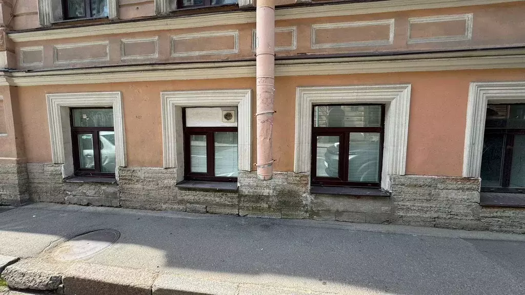 Помещение свободного назначения в Санкт-Петербург Кронверкская ул., 4 ... - Фото 2
