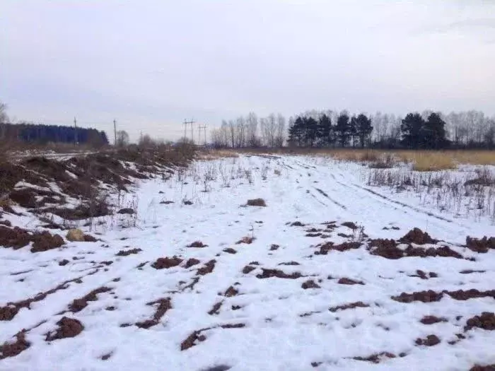 Участок в Курская область, Курский район, Рышковский сельсовет, ... - Фото 2