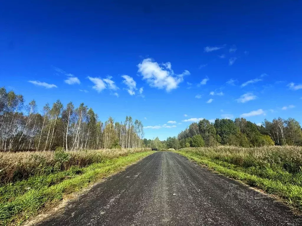 Участок в Московская область, Дмитровский муниципальный округ, Сбоево ... - Фото 2