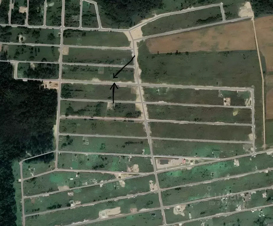 Участок в Ленинградская область, Ломоносовский район, Гостилицкое ... - Фото 1