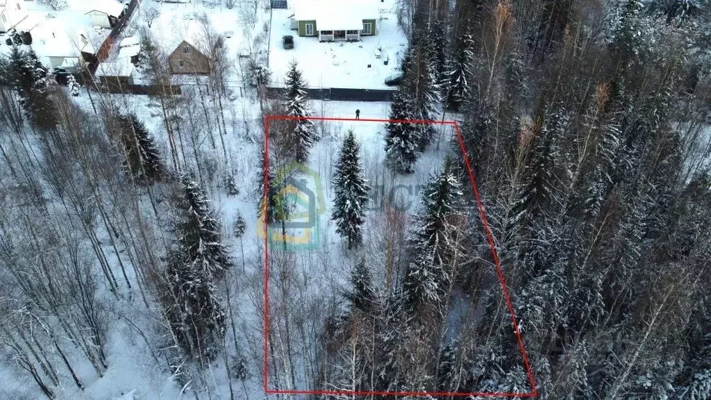 Участок в Ленинградская область, Выборгский район, Первомайское с/пос, ... - Фото 2