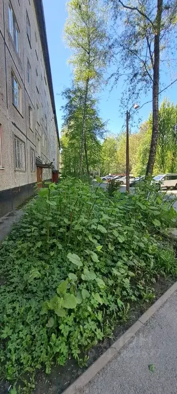 Комната Санкт-Петербург Народная ул., 43 (16.0 м) - Фото 1
