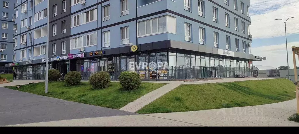 Торговая площадь в Ульяновская область, Ульяновск ул. Александра ... - Фото 1