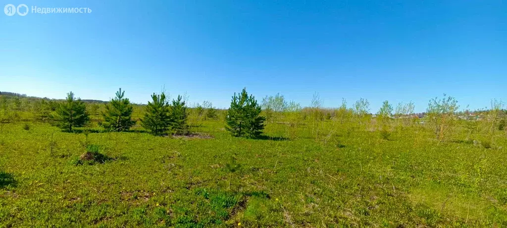 Участок в Пермский муниципальный округ, село Култаево (10 м) - Фото 1
