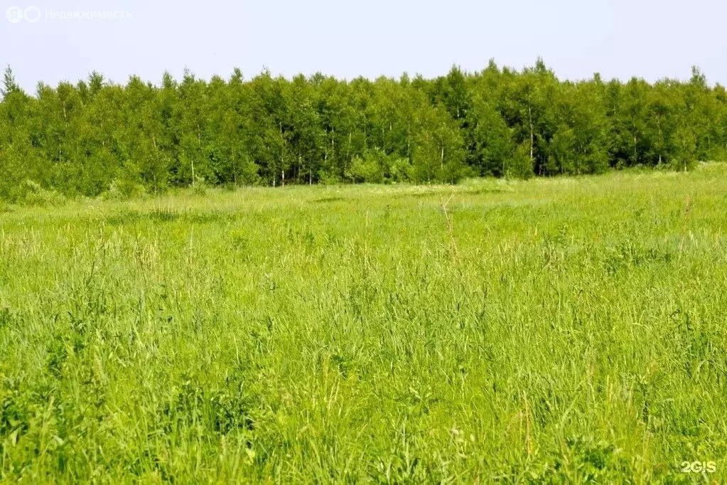 Участок в село Алёшня, Садовая улица (31.6 м) - Фото 1