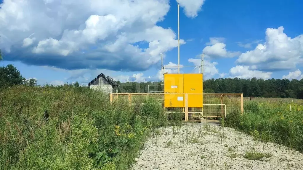 Участок в Калужская область, Село Ферзиково с/пос, д. Александровка ... - Фото 2