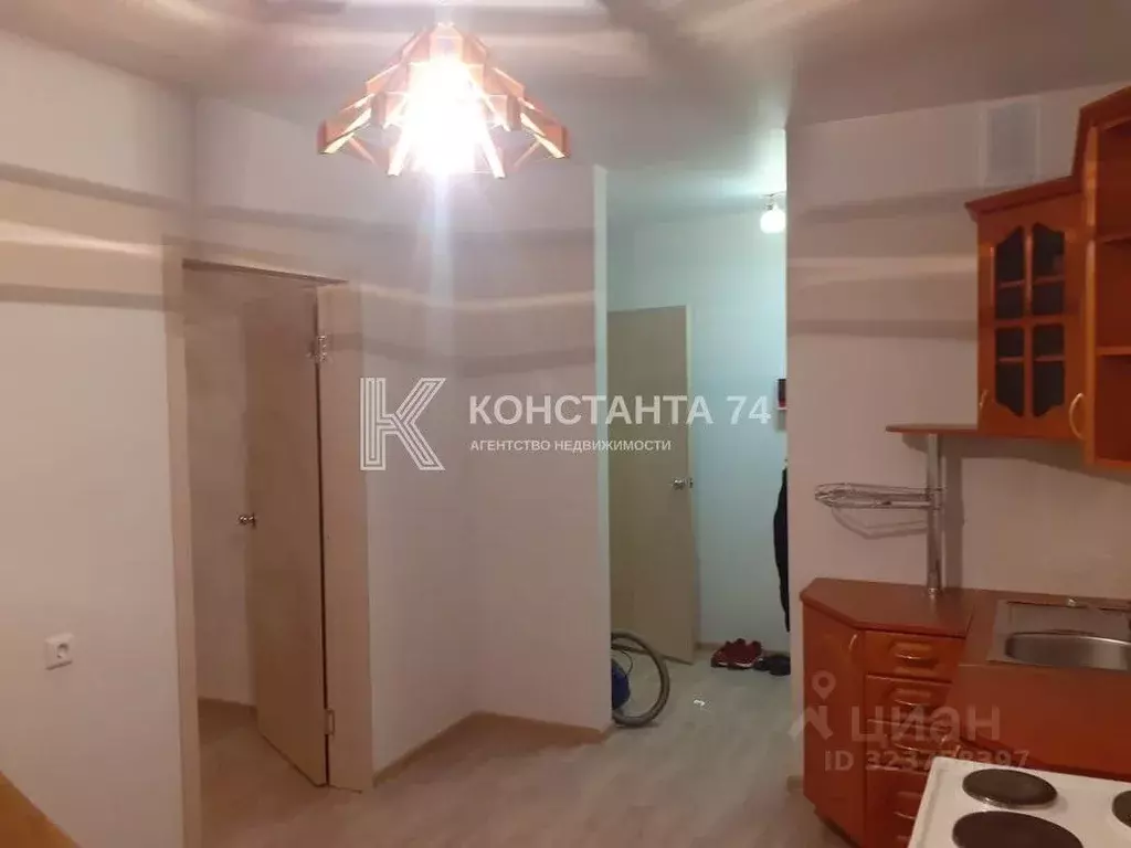 1-к кв. Челябинская область, Челябинск ул. Дмитрия Неаполитанова, 16 ... - Фото 2