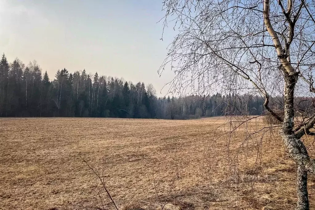 Участок в Московская область, Дмитровский муниципальный округ, ... - Фото 1