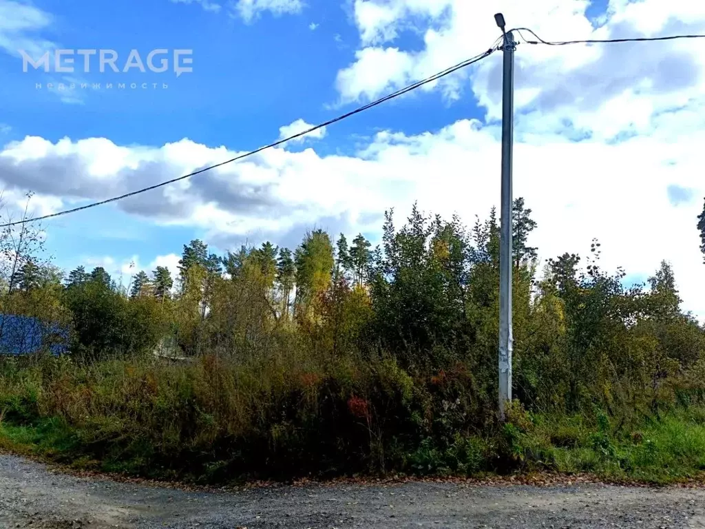 Участок в Новосибирская область, Новосибирский район, Барышевский ... - Фото 1