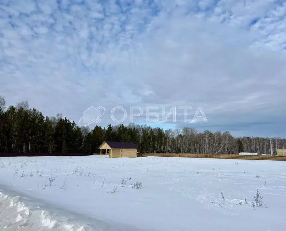 Участок в Тюменская область, Тюменский район, с. Кулига ул. ... - Фото 1