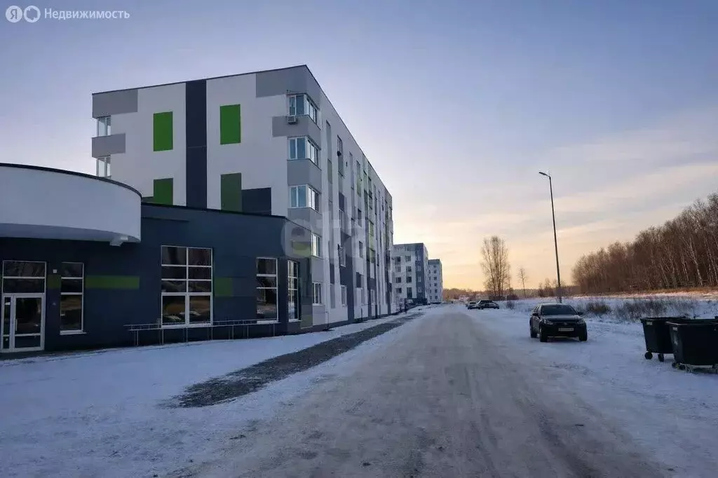 Помещение свободного назначения (255.4 м) - Фото 1