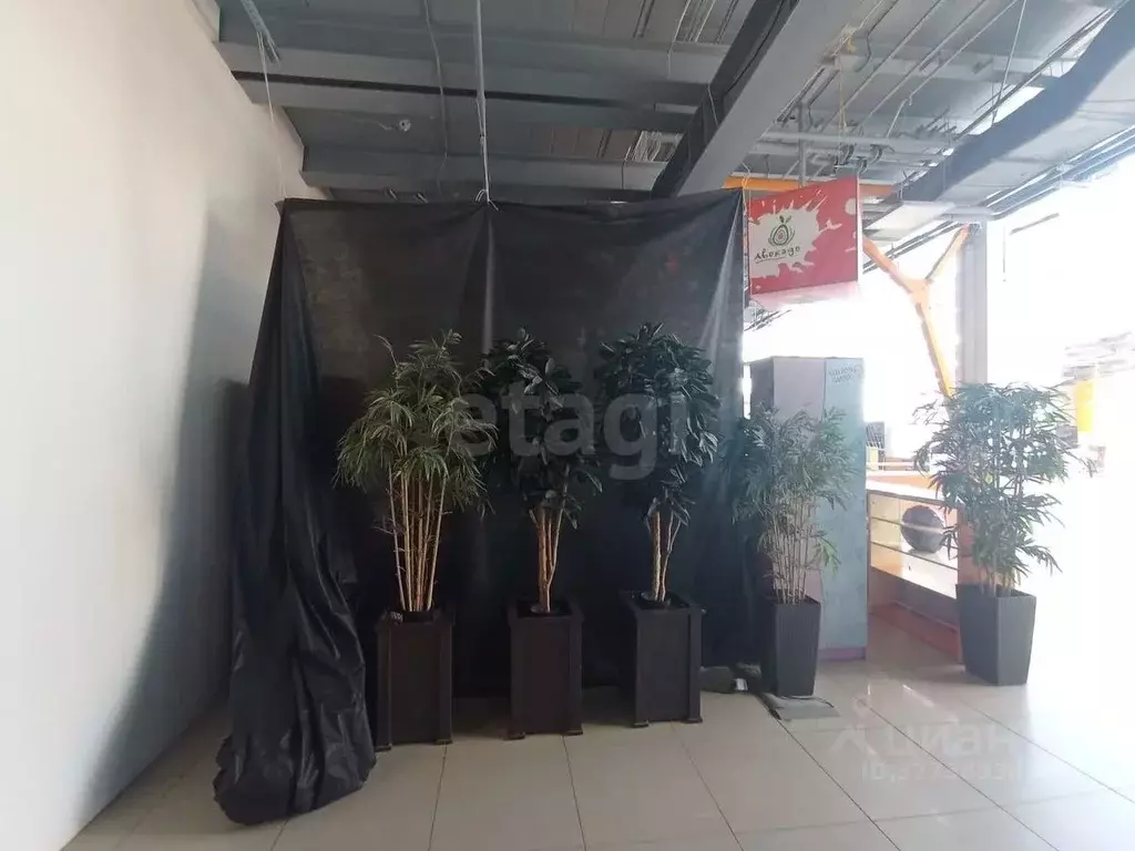 Торговая площадь в Костромская область, Кострома Давыдовский-3 мкр, 32 ... - Фото 2