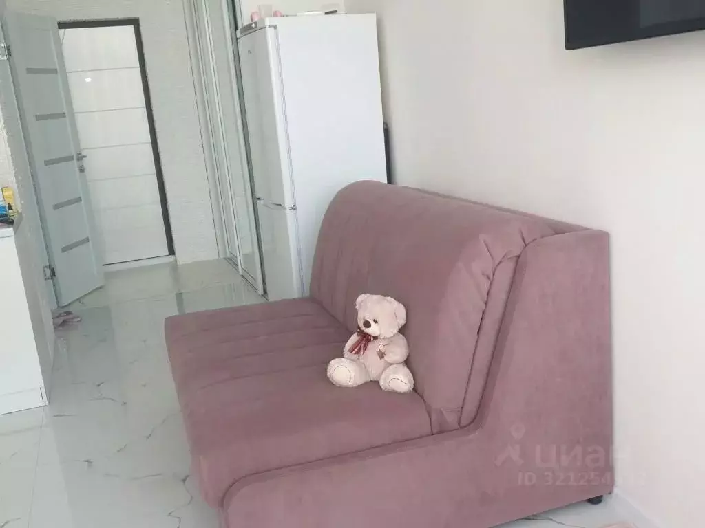 1-к кв. Краснодарский край, Сочи Светлана мкр, ул. Депутатская, 10 ... - Фото 1