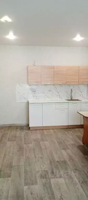 Студия Алтайский край, Барнаул Северный Власихинский проезд, 122к3 ... - Фото 2