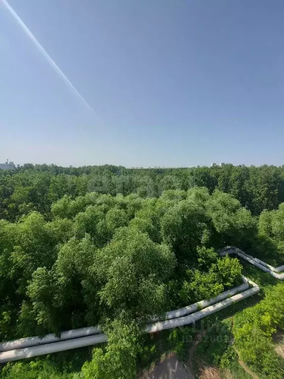 3-к кв. Челябинская область, Челябинск ул. Захаренко, 6Б (92.2 м) - Фото 1