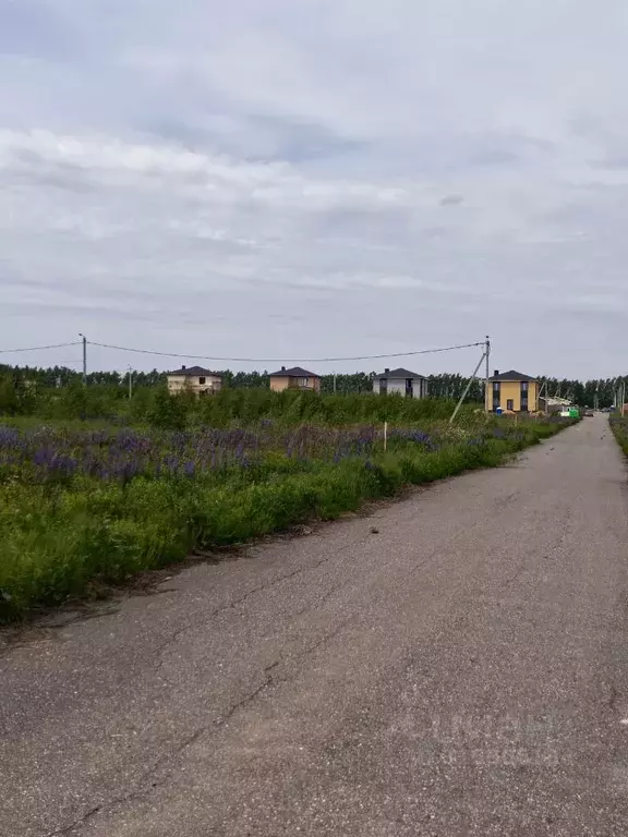 Участок в Нижегородская область, Богородский муниципальный округ, ... - Фото 0