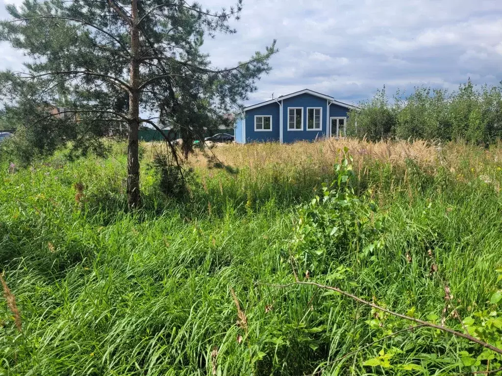 Участок в Московская область, Богородский городской округ, д. ... - Фото 0
