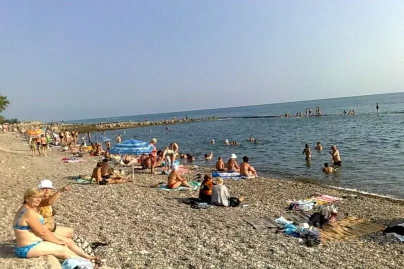Дом в Краснодарский край, Туапсе Горка СНТ,  (80 м) - Фото 1