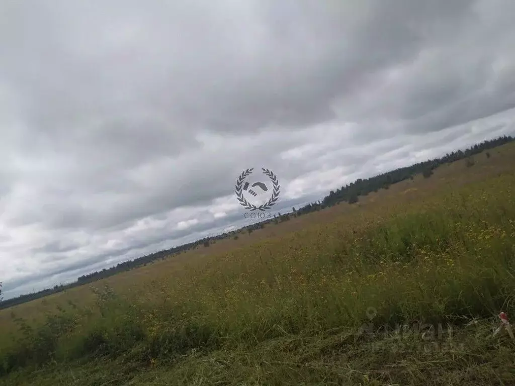 Участок в Калужская область, Дзержинский муниципальный округ, Дворцы ... - Фото 2