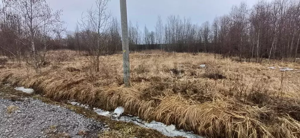 Участок в Вологодская область, Шекснинский муниципальный округ, д. ... - Фото 1