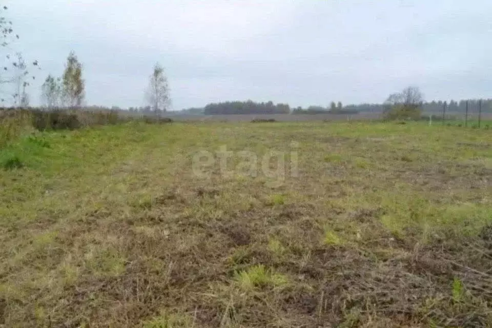 Участок в Мордовия, Лямбирский район, Саловское с/пос, д. Новое ... - Фото 1