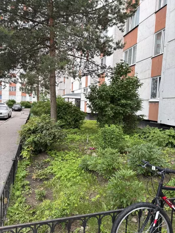 1-к кв. Санкт-Петербург Приморский просп., 151 (35.1 м) - Фото 1