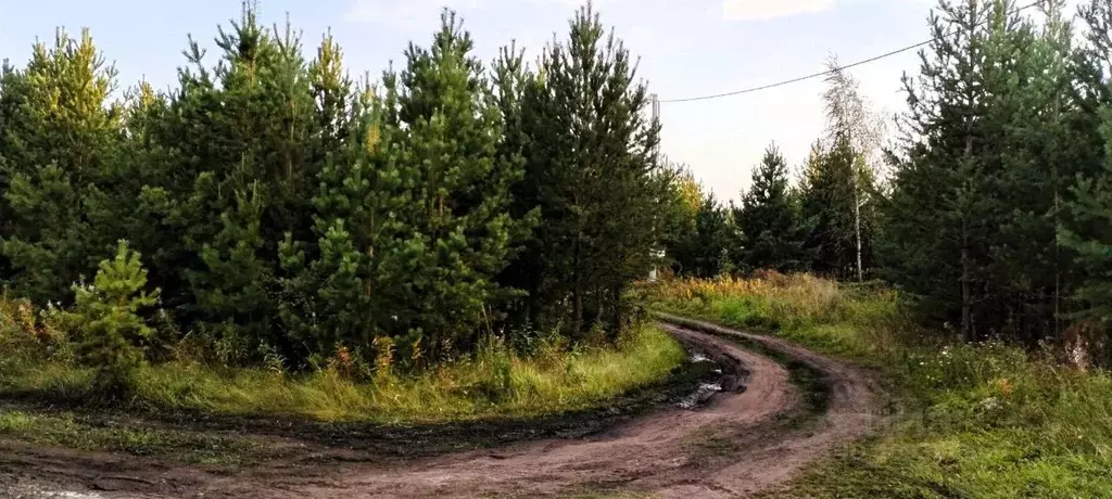 Участок в Свердловская область, Сысертский городской округ, пос. ... - Фото 0