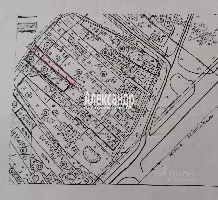 Участок в Ленинградская область, Волосовский район, Клопицкое с/пос, ... - Фото 2