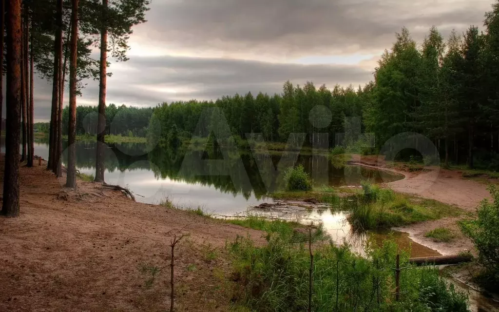 Участок 5,1 сот. (ИЖС) - Фото 1