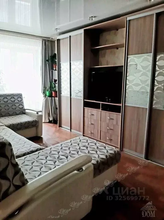 2-к кв. Еврейская автономная область, Биробиджан Ремонтный пер., 3 ... - Фото 2