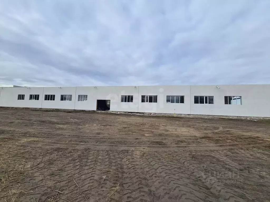 Склад в Курганская область, Курган ул. Бурова-Петрова, 121В (500 м) - Фото 1