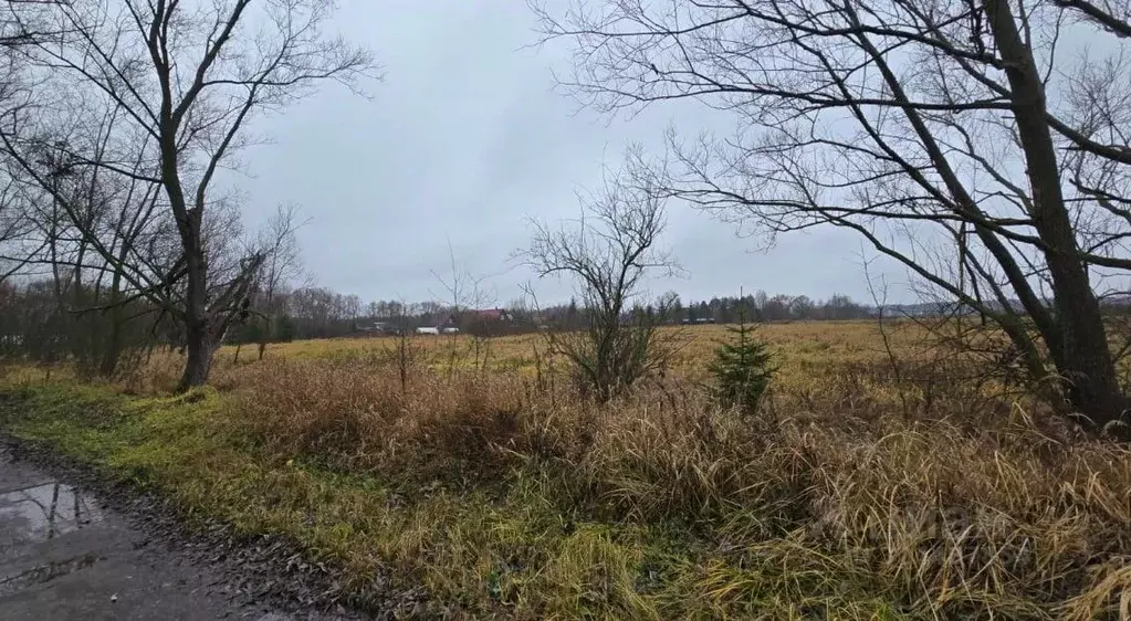 Участок в Московская область, Ступино городской округ, д. Кочкорево ... - Фото 1