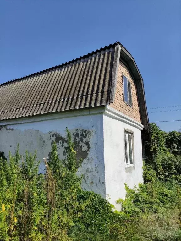 Участок в Самарская область, Тольятти Гидромеханизатор-1 СТ,  (6.0 ... - Фото 2