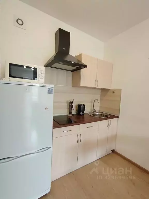 Студия Санкт-Петербург ул. Летчика Лихолетова, 14к2 (24.6 м) - Фото 1