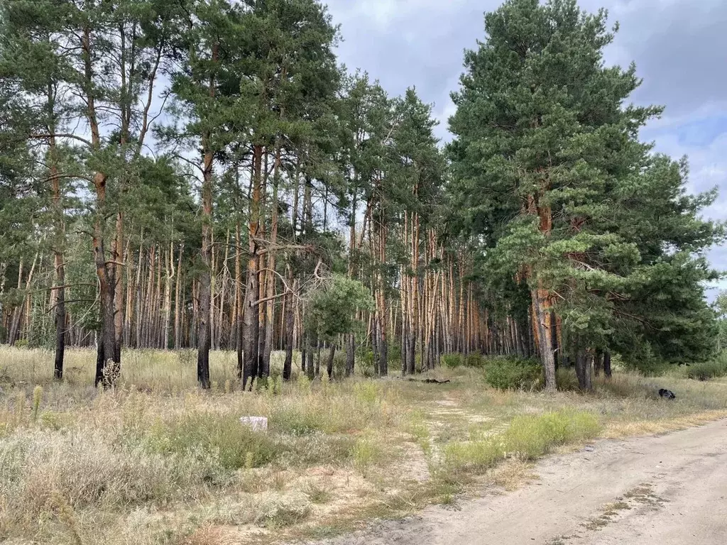 Участок в Воронежская область, Воронеж ул. Совхозная (10.0 сот.) - Фото 1