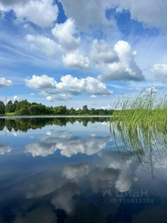 Участок в Тверская область, Конаковский муниципальный округ, д. ... - Фото 0
