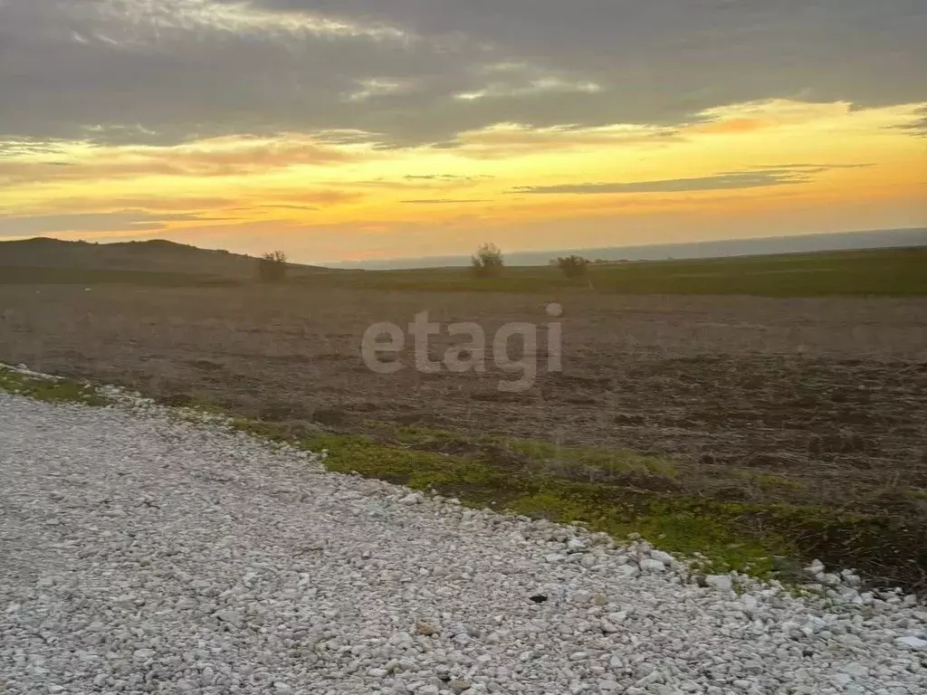 Участок в Крым, Ленинский район, Заветненское с/пос, с. Заветное ул. ... - Фото 1
