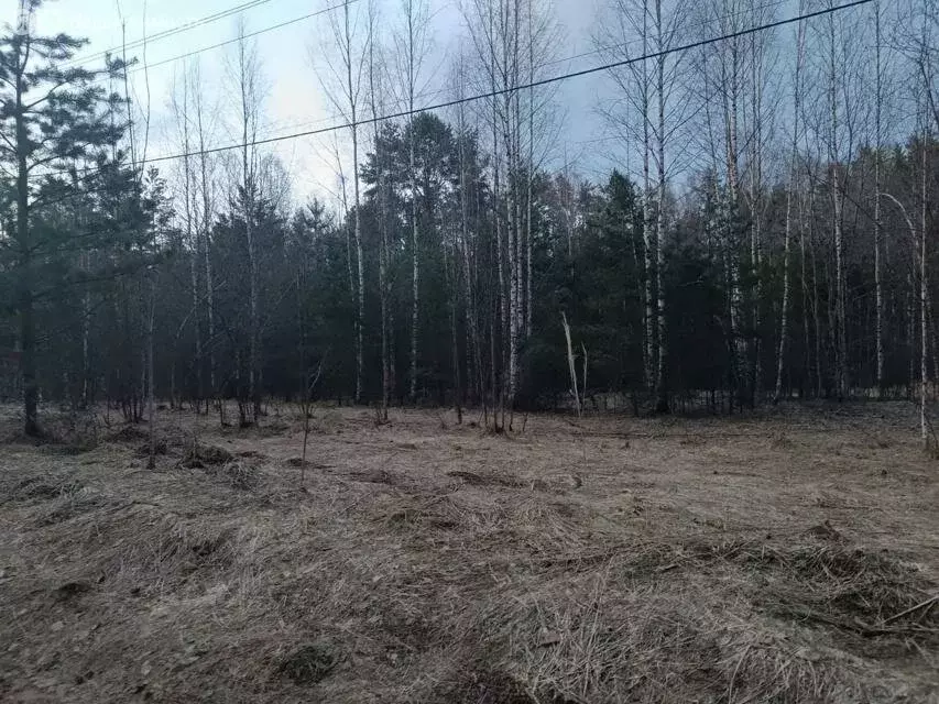 Участок в Сабское сельское поселение, деревня Малый Сабск (15 м) - Фото 2