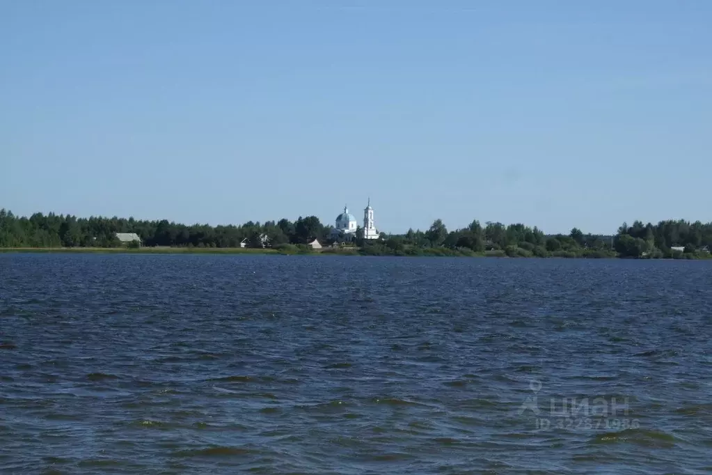 Участок в Тверская область, Пеновский муниципальный округ, д. Торг  ... - Фото 2