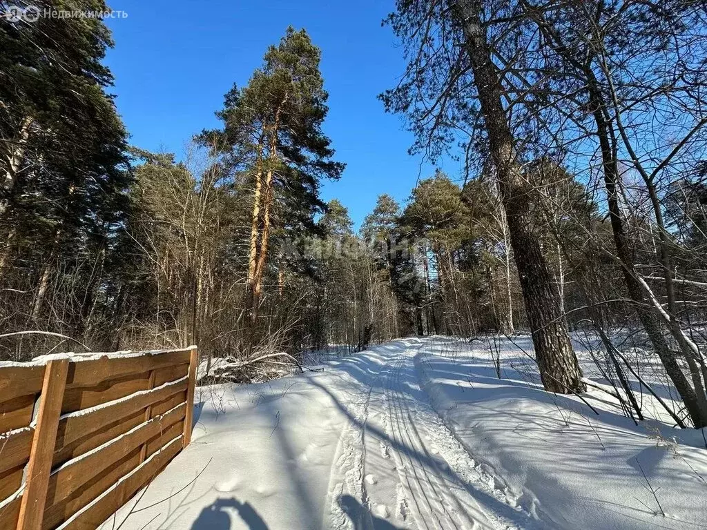 Участок в село Барышево, Институтская улица (10 м) - Фото 0