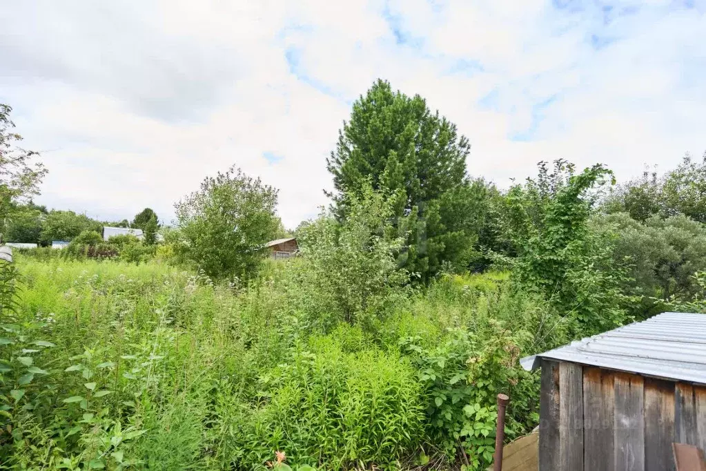 Участок в Томская область, Томский район, Богашевское с/пос, Лесник-2 ... - Фото 1