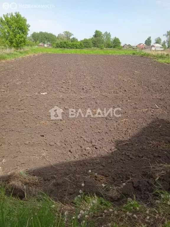 Дом в Нижегородская область, городской округ Арзамас, село Шерстино ... - Фото 1