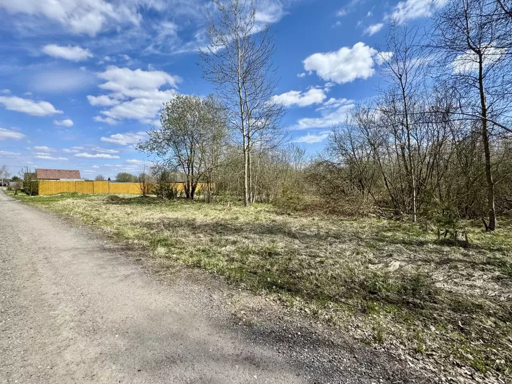 Участок в Московская область, Коломна городской округ, с. Нижнее ... - Фото 1