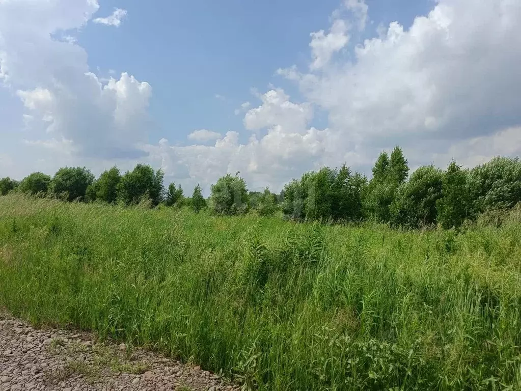 Участок в Кемеровская область, Кемерово Огоньковая ул. (10.0 сот.) - Фото 2