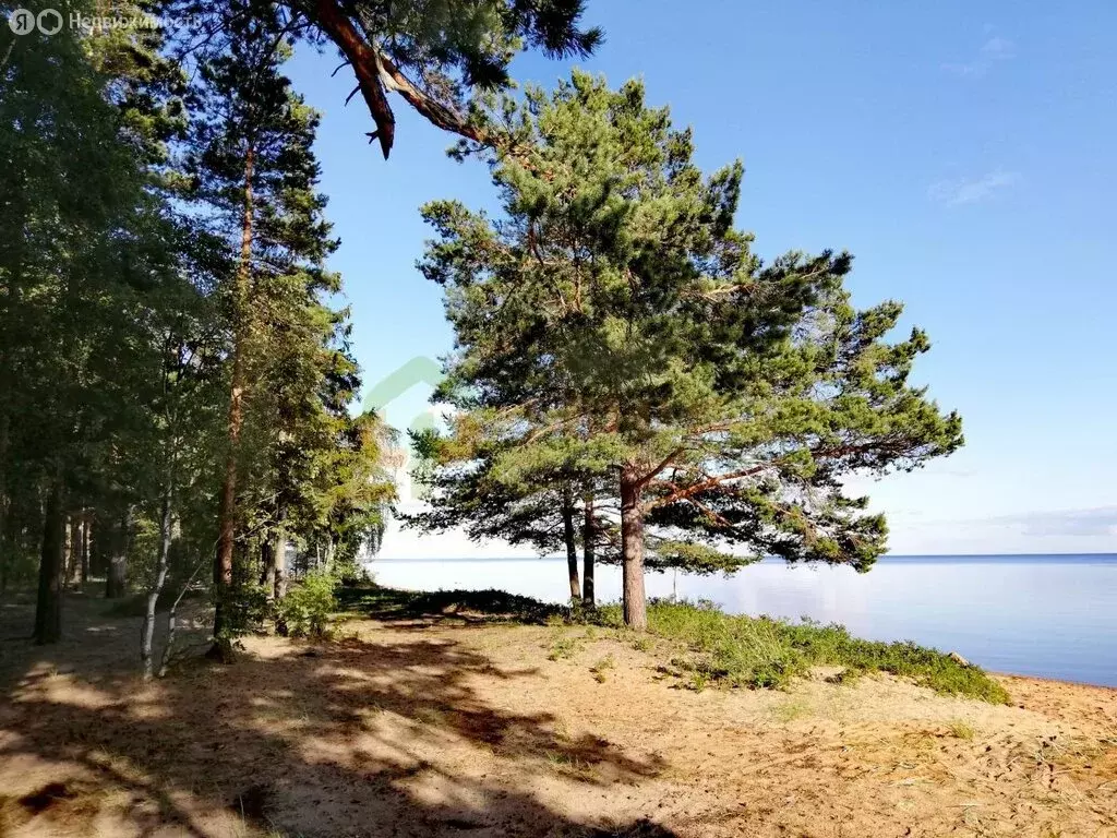 3-комнатная квартира: Большая Ижора, Приморское шоссе, 7 (58 м) - Фото 1