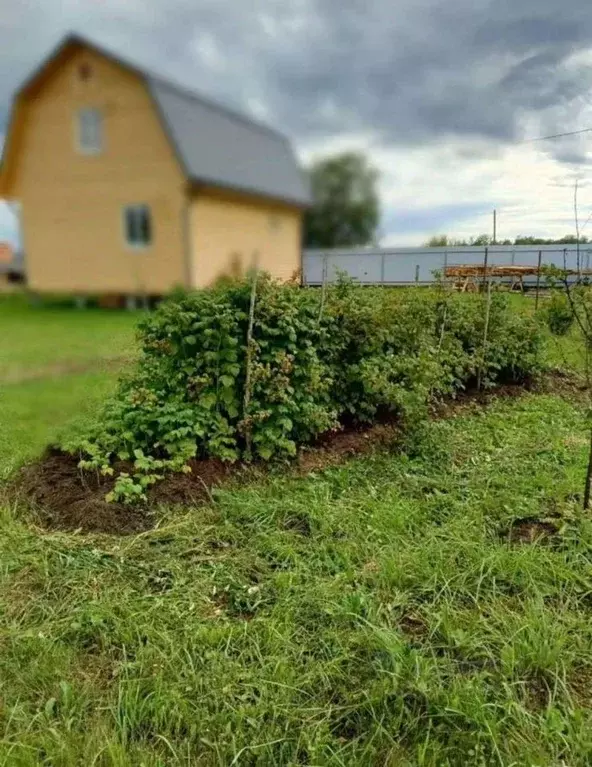Участок в Новгородская область, Новгородский район, Ермолинское с/пос, ... - Фото 0