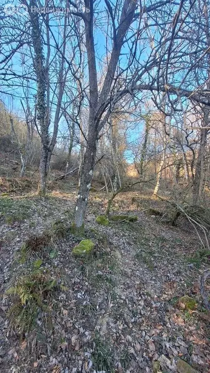 Участок в село Нижняя Шиловка, СТ Южное взморье (5.39 м) - Фото 0