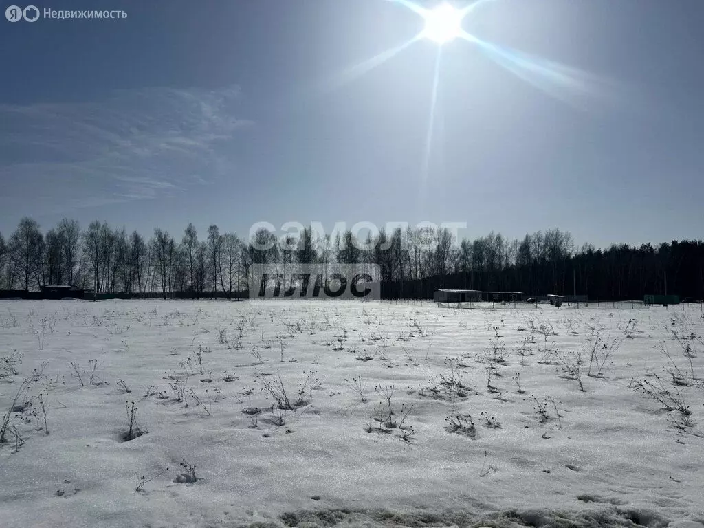 Участок в Московская область, Раменский муниципальный округ, КП ... - Фото 2
