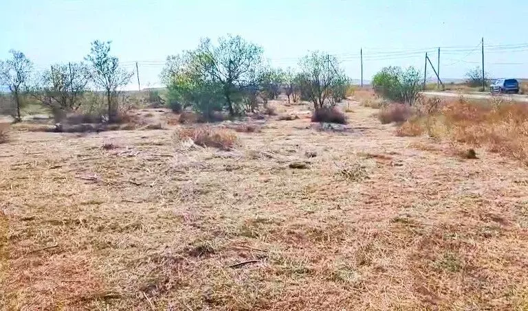 Участок в Краснодарский край, Темрюкский район, Новотаманское с/пос, ... - Фото 2